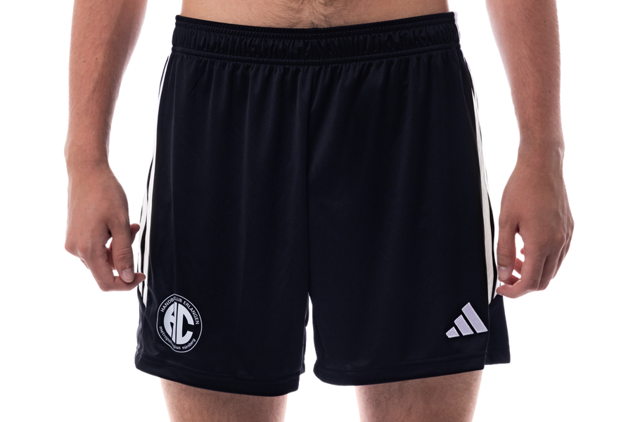 Trainings-Shorts 2